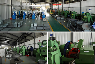 Shaanxi Flourish Industrial Co., Ltd. ligne de production du fabricant
