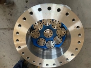 Customized Forged Carbon Steel Flat Face Flange With Non Passing Threaded